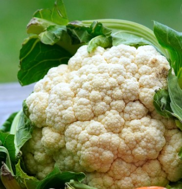 콜리플라워