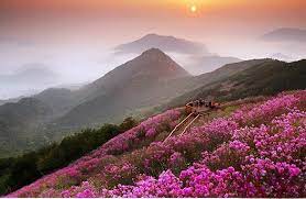 제 26회 천주산 진달래축제 기본일정과 프로그램 소개 류지광 남승민 출연