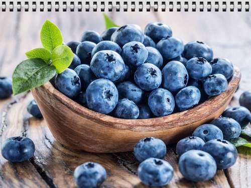 두뇌 회춘을 원한다면, 매일 블루베리 한 줌부터 시작하세요