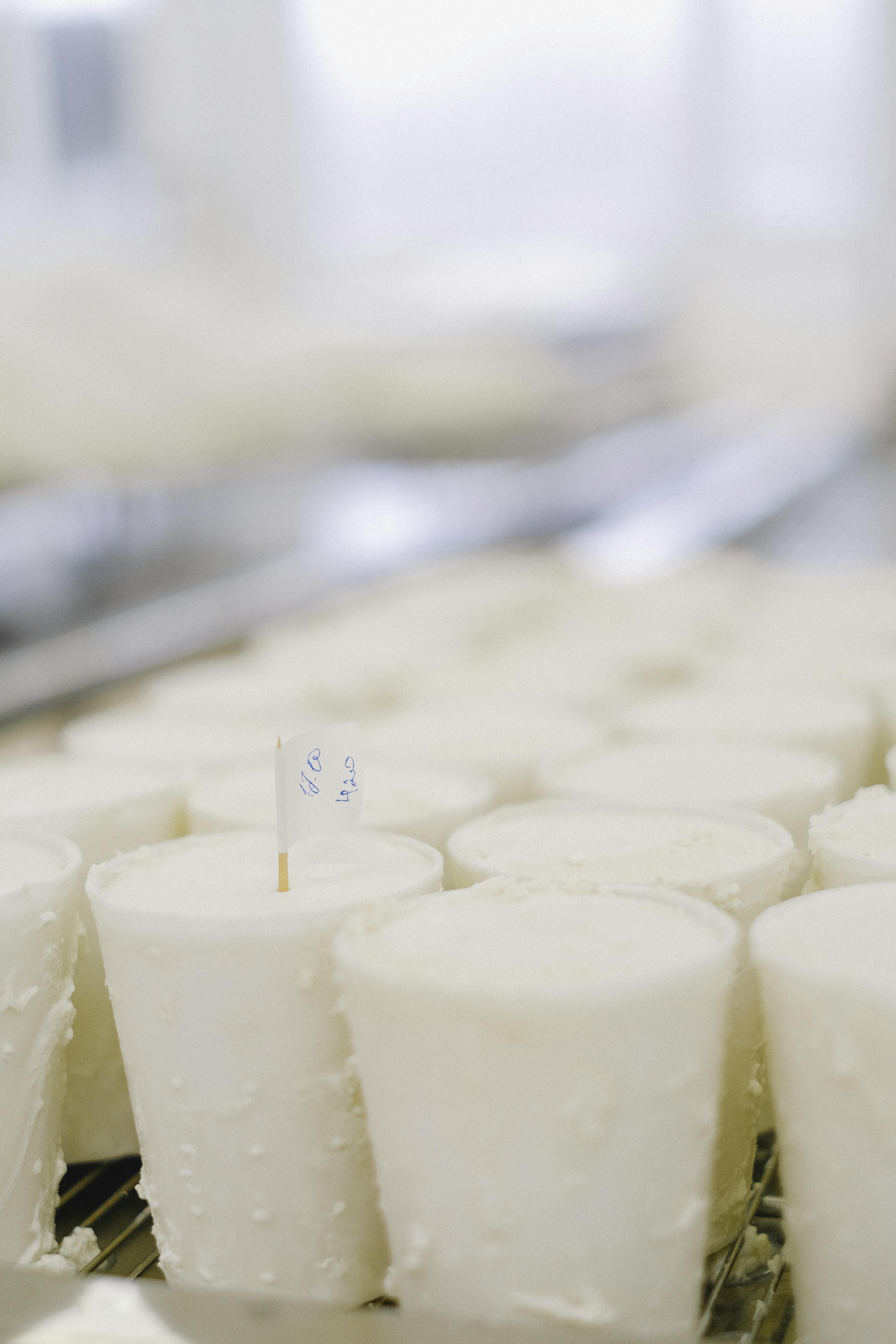 장 건강을 위한 식습관과 운동법 (식이섬유, 유산균, 장운동 강화 운동)