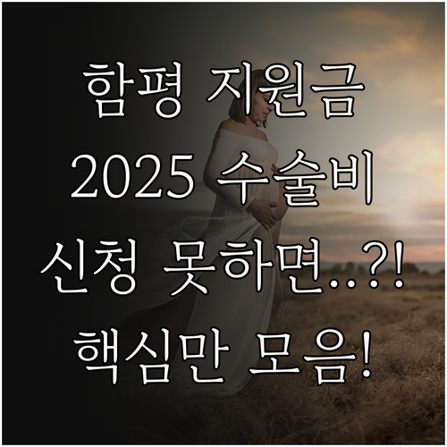 함평군 2025 임신 희망 수술비 지..