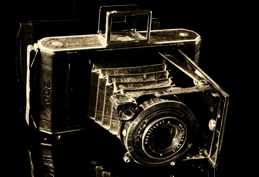 핀치영화 관련 이미지