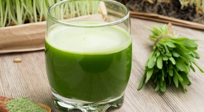 새싹보리이미지