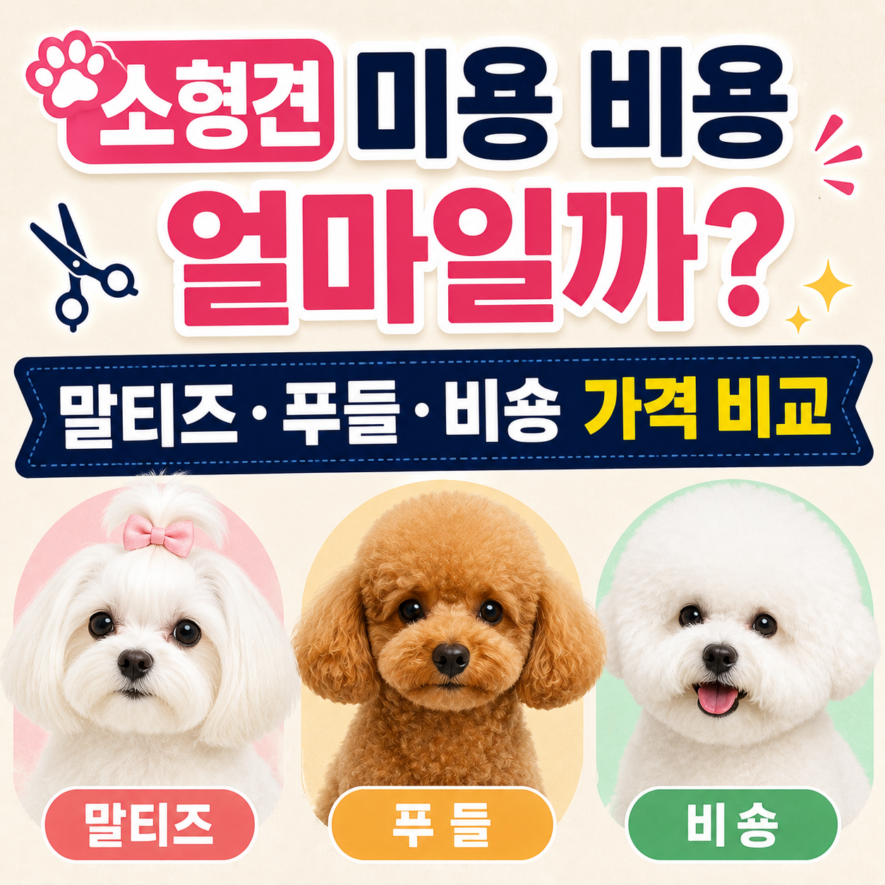 소형견 미용 비용