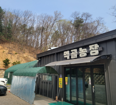 외국인의 밥상 오리 장작구이 양주 맛집