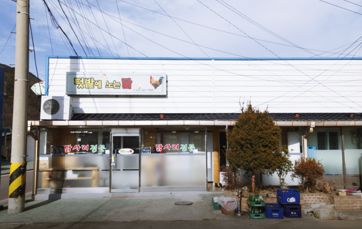 텃밭에노는닭-외부-사진