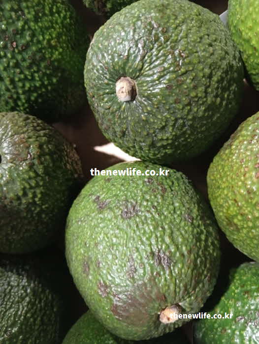 아보카도 효능 부작용 과다 섭취