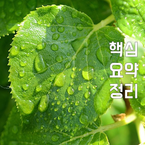 2025 경북 장애인 평생교육이용권 ..