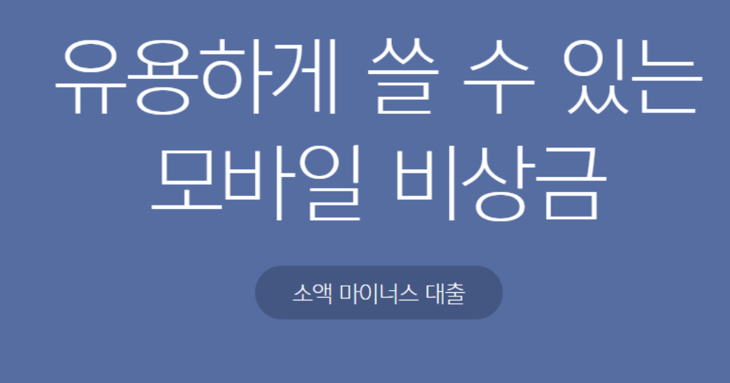 비상금 대출