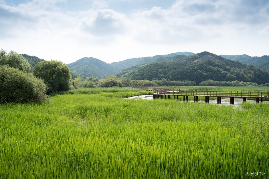 합천 가볼만한곳 베스트10