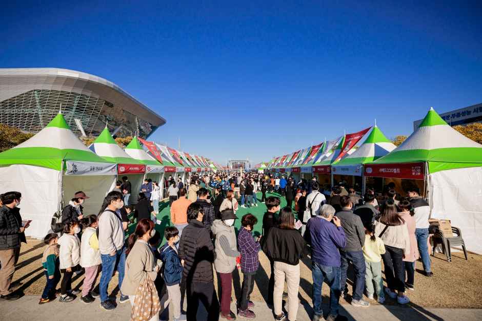 글로벌 영도커피 페스티벌