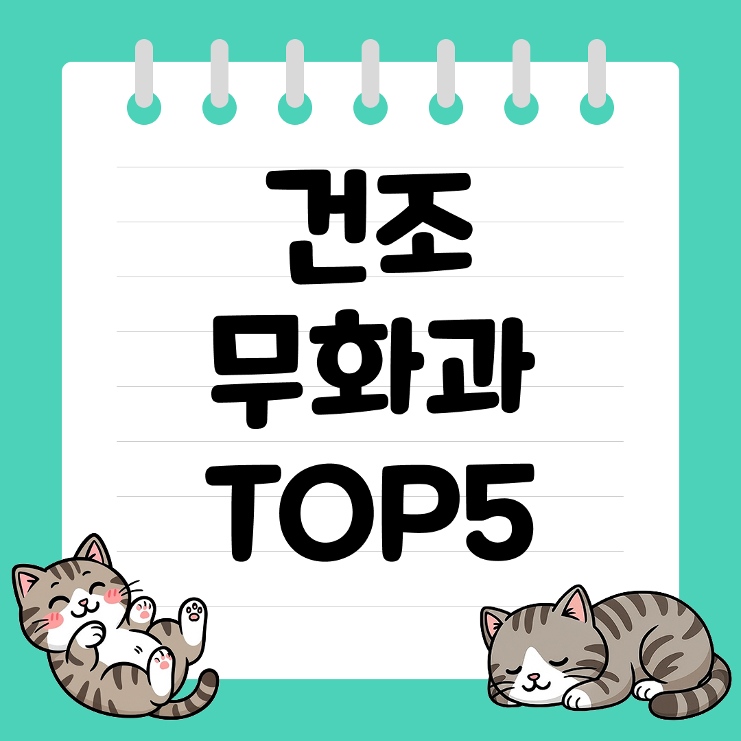 영양 가득한 건조 말린 무화과 추천 순위 TOP5
