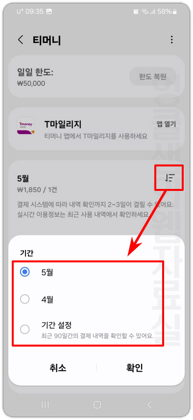 티머니 교통카드 기간 필터 설정
