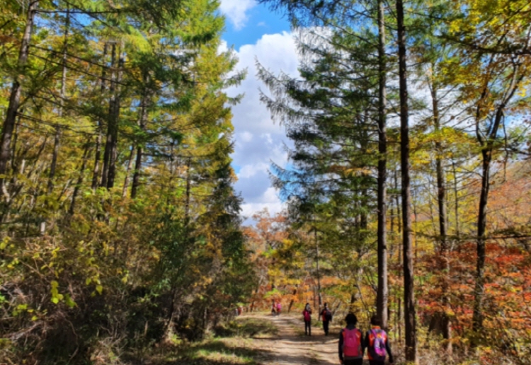 백두대간 트레일