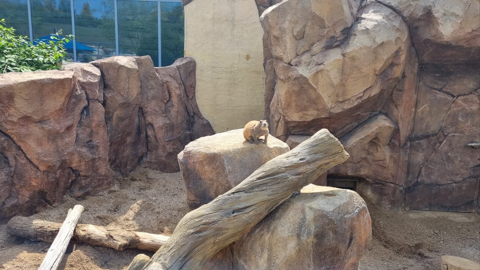 순천만국가정원 서문 동물원
