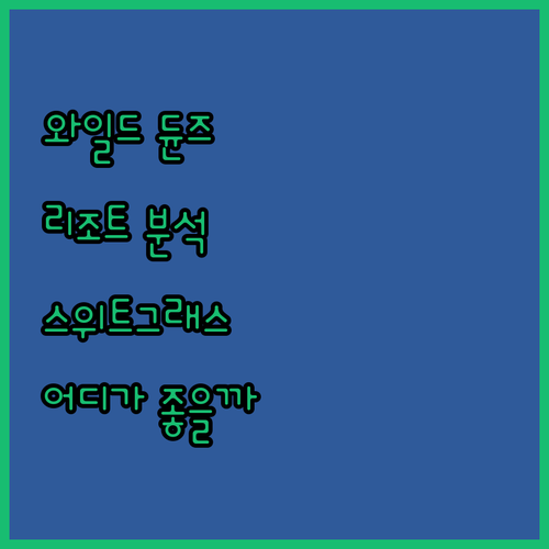와일드 듄즈 리조트 완벽 분석! 스위