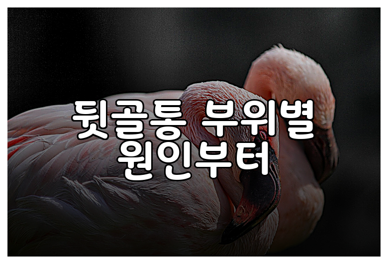 뒷골통 부위별 원인부터