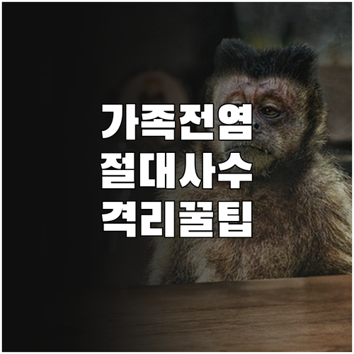 A형 독감 가족 전염 방지 수칙 및 ..