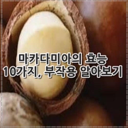 마카다미아의 효능 10가지, 부작용 알아보기
