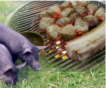 제주 흑돼지 거리 추천 고기집과 대기시간 정보_6