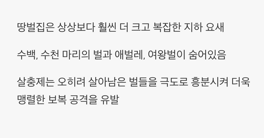 살충제 한 통? 택도 없는 이야기