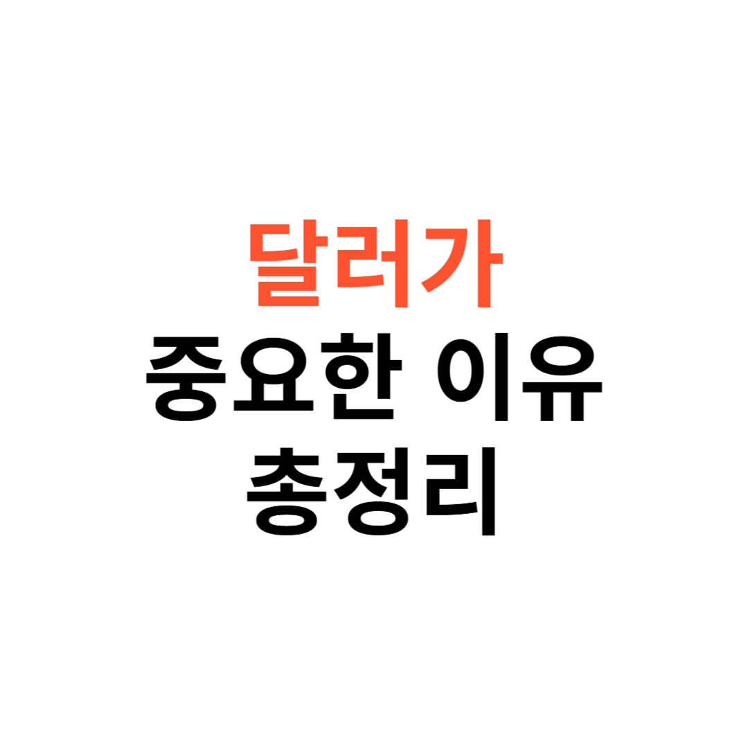 달러가 중요한 핵심 이유