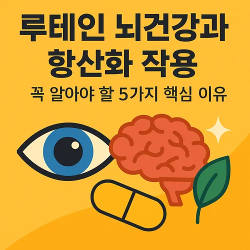루테인 뇌건강과 항산화 작용