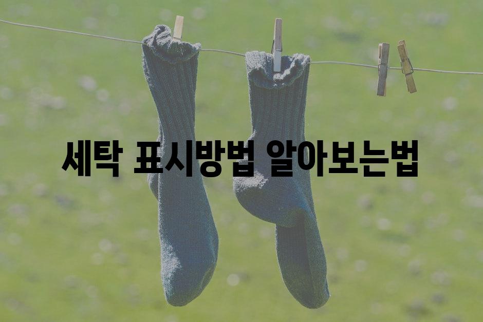 Laundry 9
