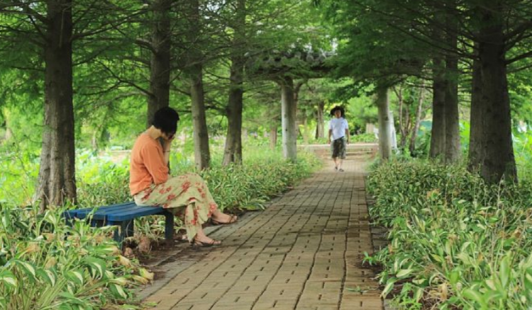 청산수목원