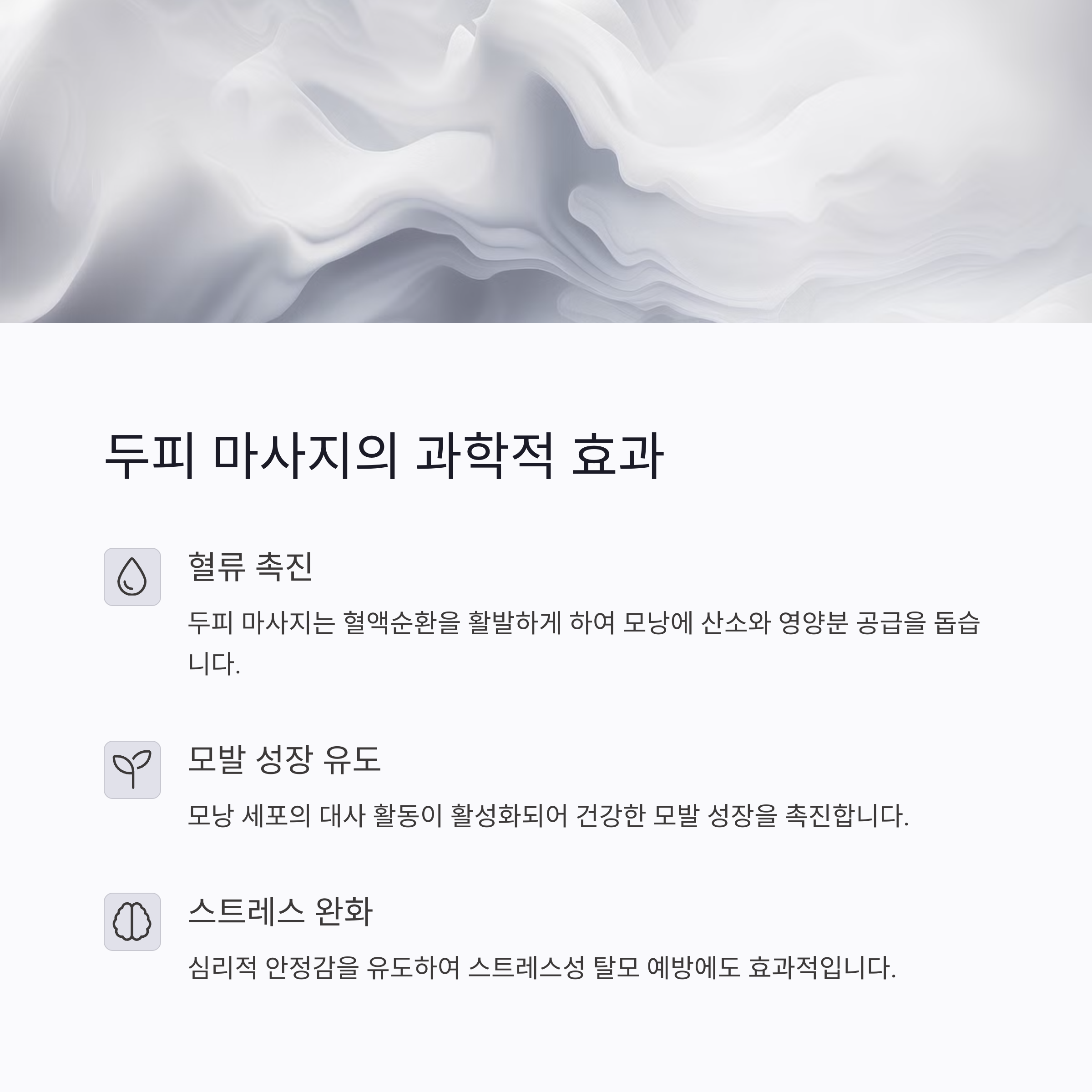 두피 마사지의 과학적 효과 이미지