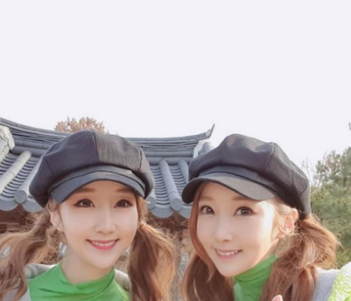 윙크 일란성 쌍둥이