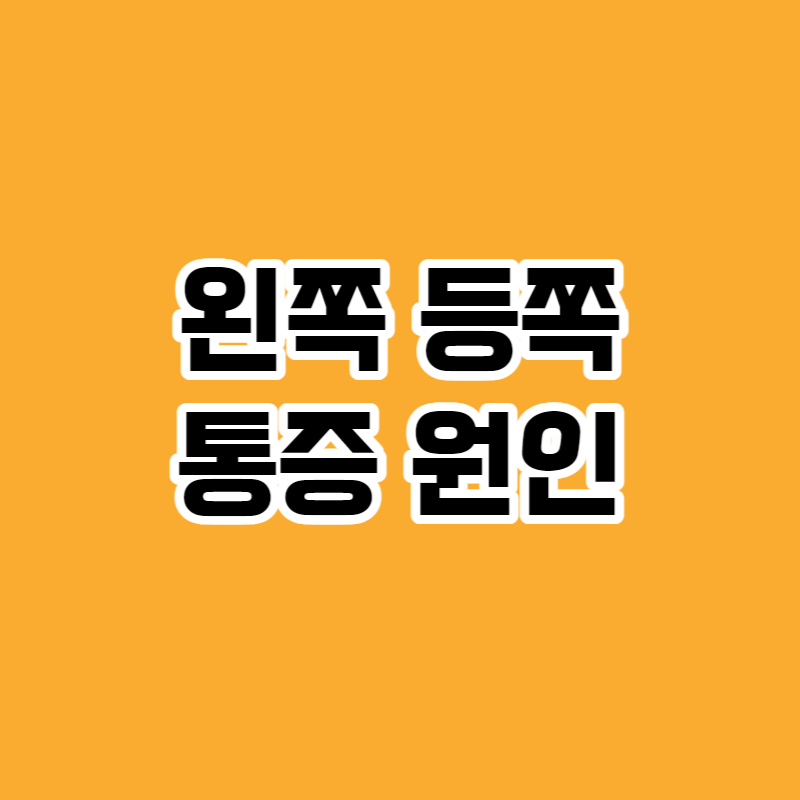왼쪽 등쪽 통증 원인