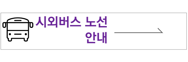 퍼플섬 시외버스