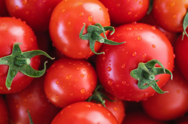 토마토 마리네이드