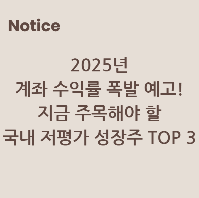 2025년 계좌 수익률 폭발 예고! 지금 주목해야 할 국내 저평가 성장주 TOP 3