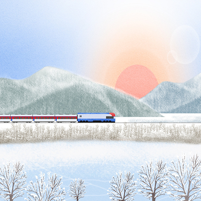 2026 돼지띠 신년운세