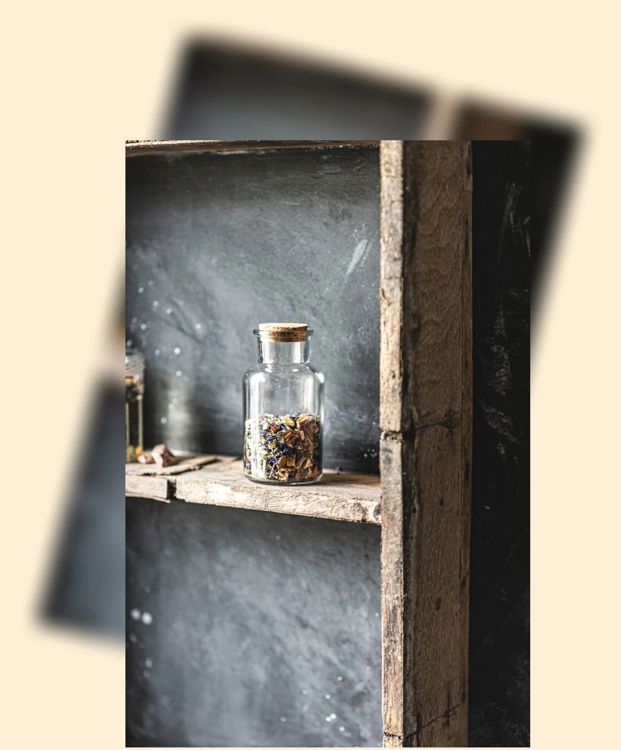 면역력 증진_2_subsection