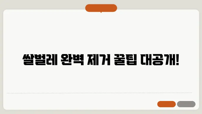 쌀벌레 없애는법 꿀팁 알려드림