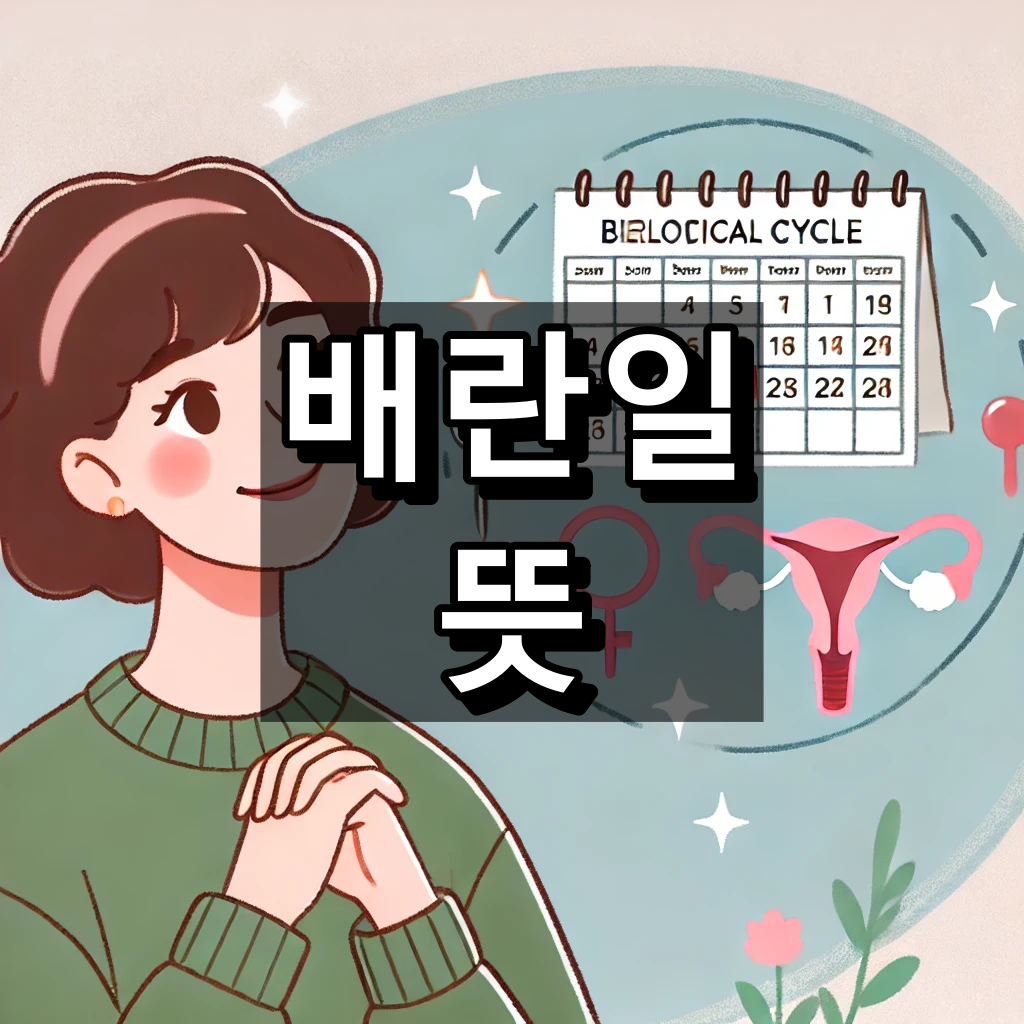 배란일 뜻 대표 이미지
