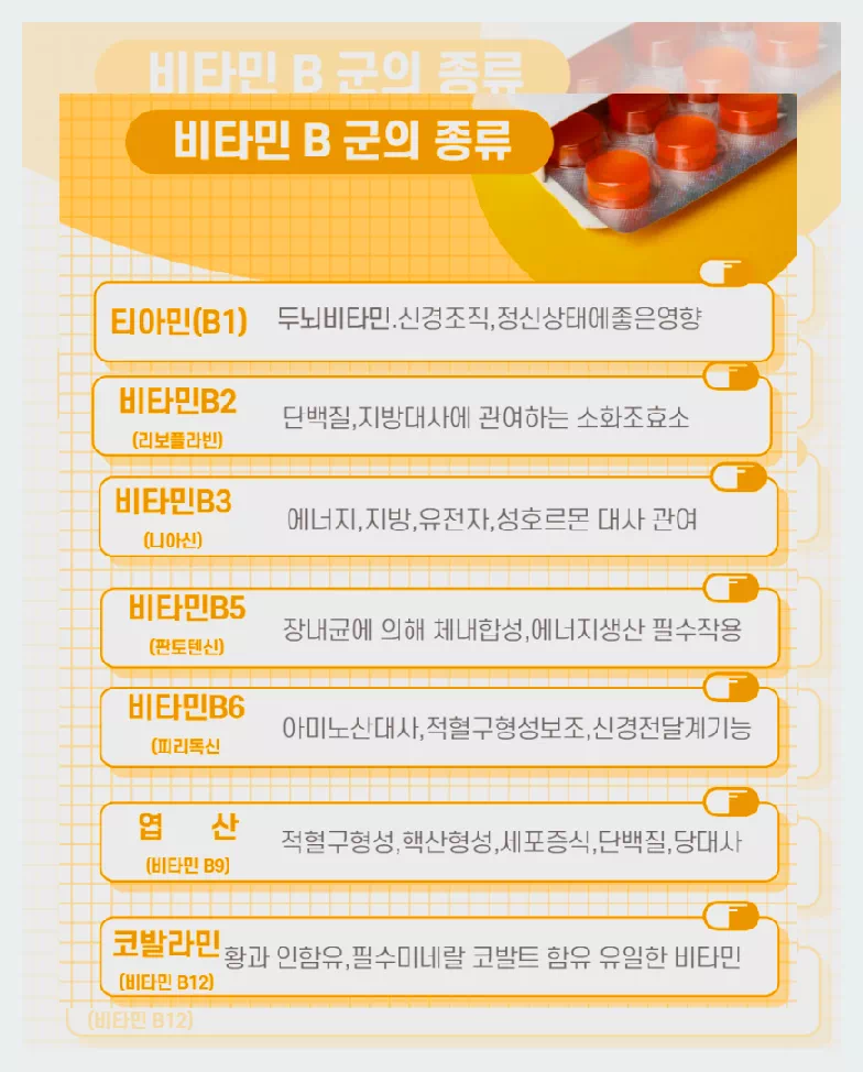 비타민 B군 종류
