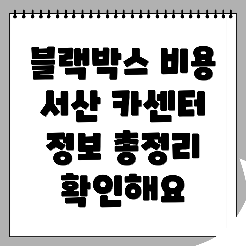 서산시 블랙박스 설치