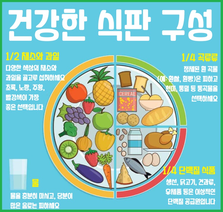 건강한 식판 구성