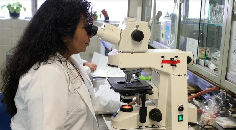 갱년기 유산균이란