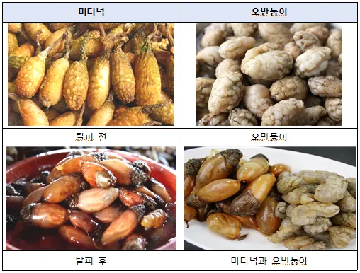 미더덕 찜국 미더덕회 미더덕철 오만둥이 레시피_6