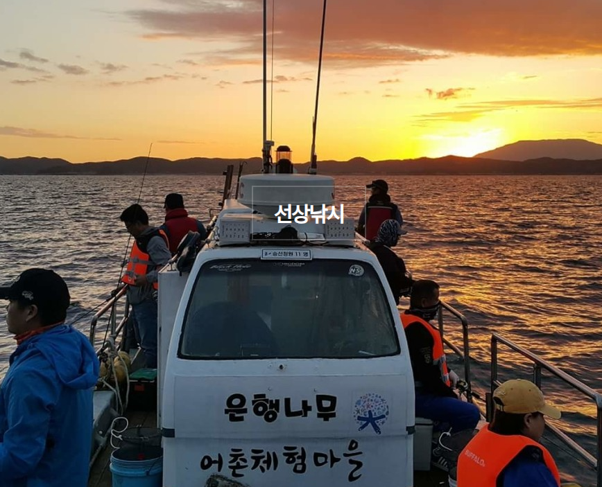 [6시 내고향] 경북 영천 한우&#44; 충남 태안 선상낚시&민박 정보