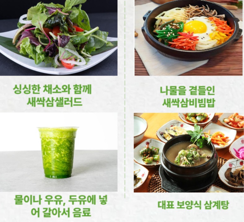 6강원-원주-새싹삼-요리