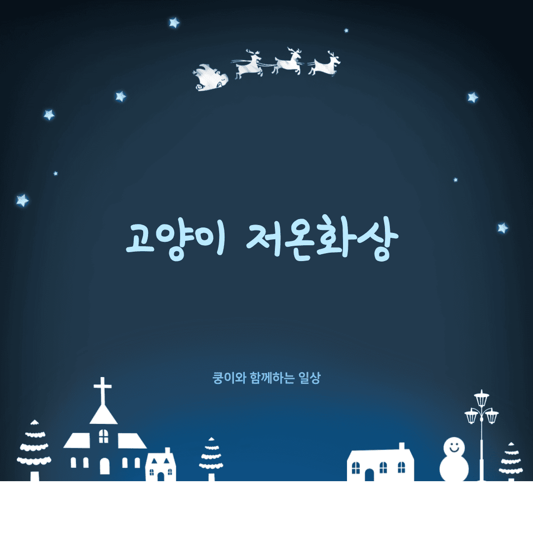 고양이 겨울나기 꿀팁: 저온화상