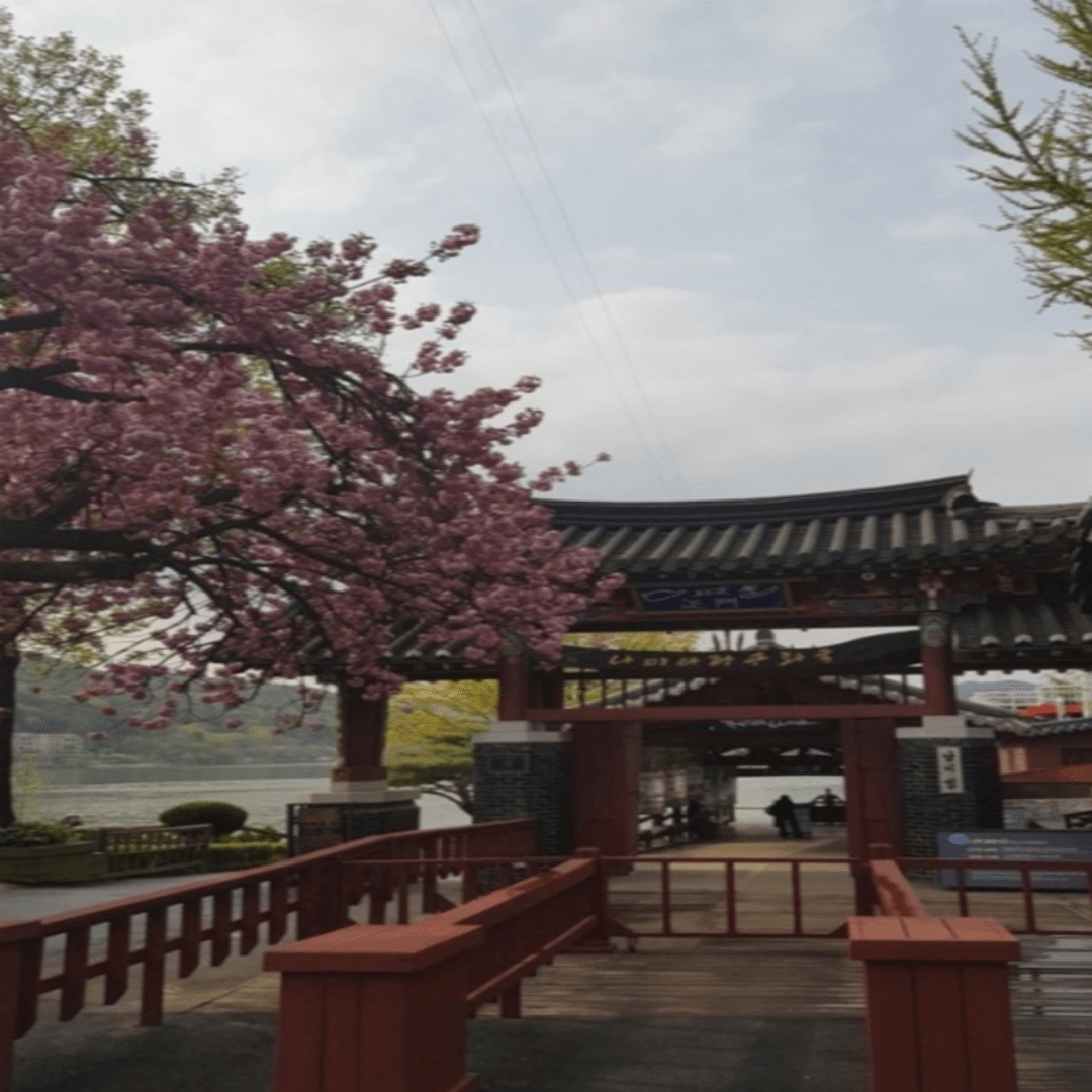 50대 여자친구들과 가기 좋은 국내 힐링 여행지