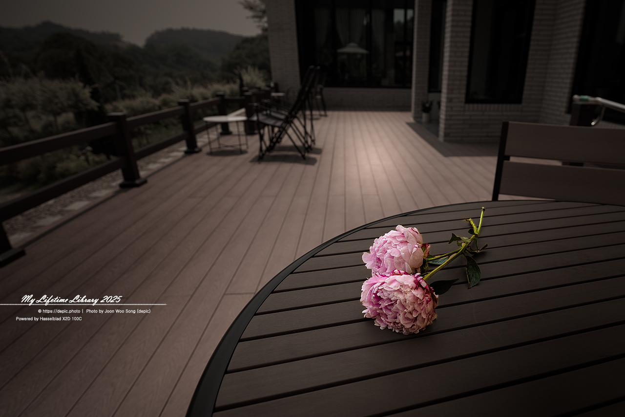 #카페 #꽃 #청주 #오창 #숲이그린정원