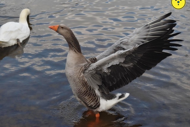 어깨 통증 원인과 치료법